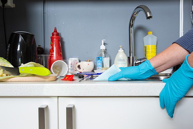 Kitchen Hygiene